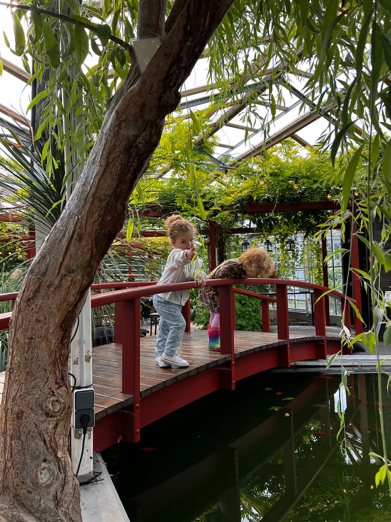 small girl leans over railing at iceland greenhouse