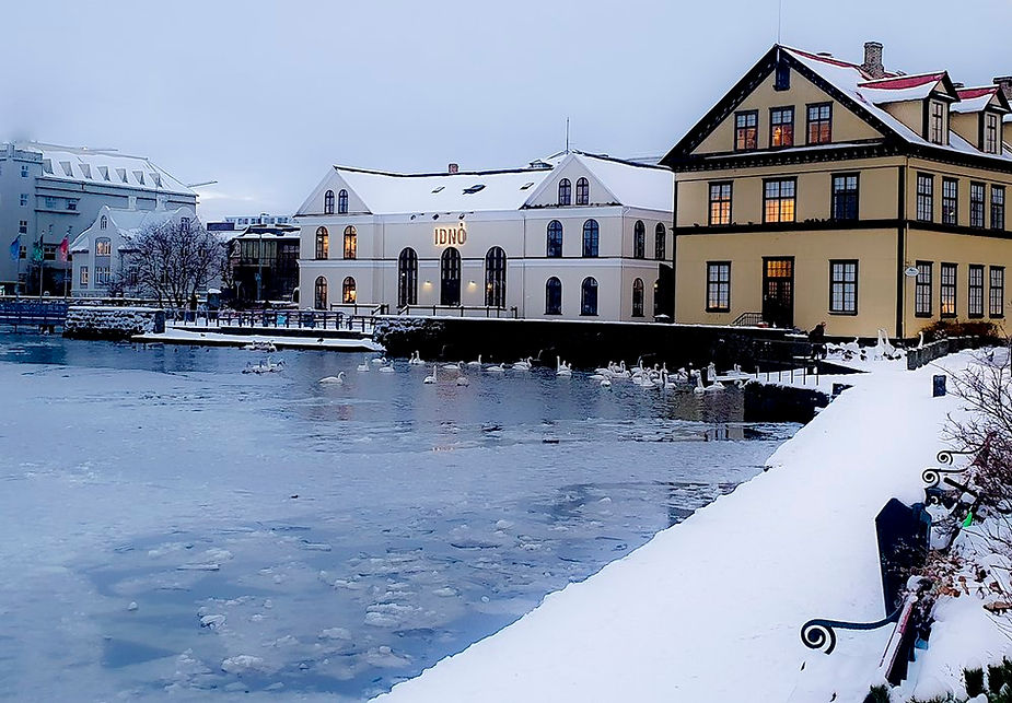 Snowy lakeside scene with swans and icy water. iceland wedding venue is lit warmly.
