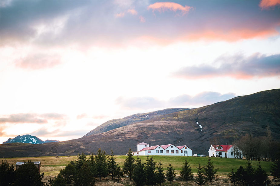 iceland wedding venue on a grassy field, set against a mountain backdrop. Pine trees in foreground; a serene, colorful sunset sky.