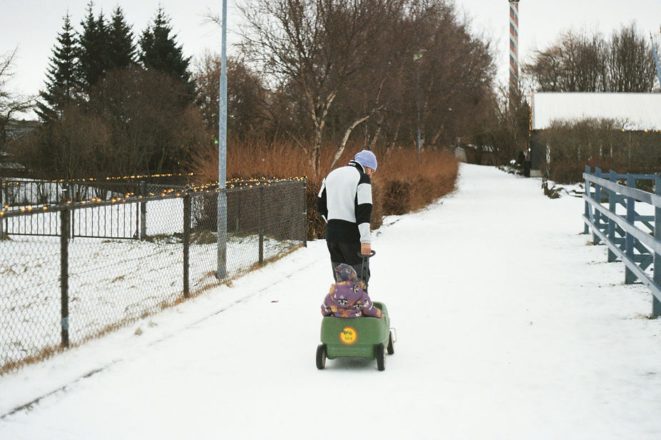 Person pulling a child in a green wagon along a snowy path lined with trees and fences, under cloudy skies in iceland. Child wears a purple outfit.