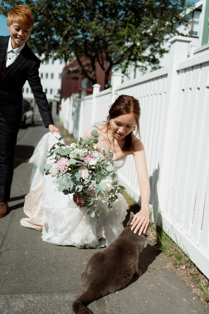 married couple, holding elopement flowers, bends down to pet cat during iceland wedding