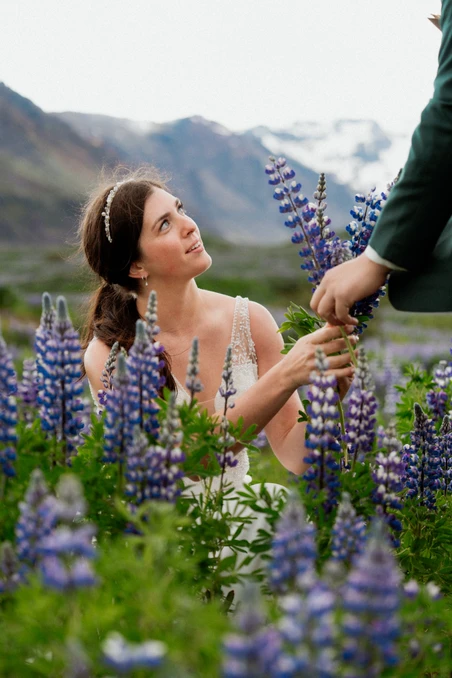 bride and groom pick lupin flowers for their iceland elopement bouquet