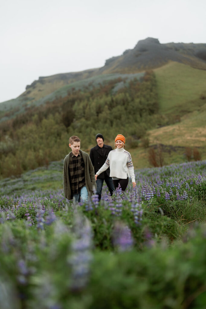 A family in a field of flowers during Iceland Family Photos.