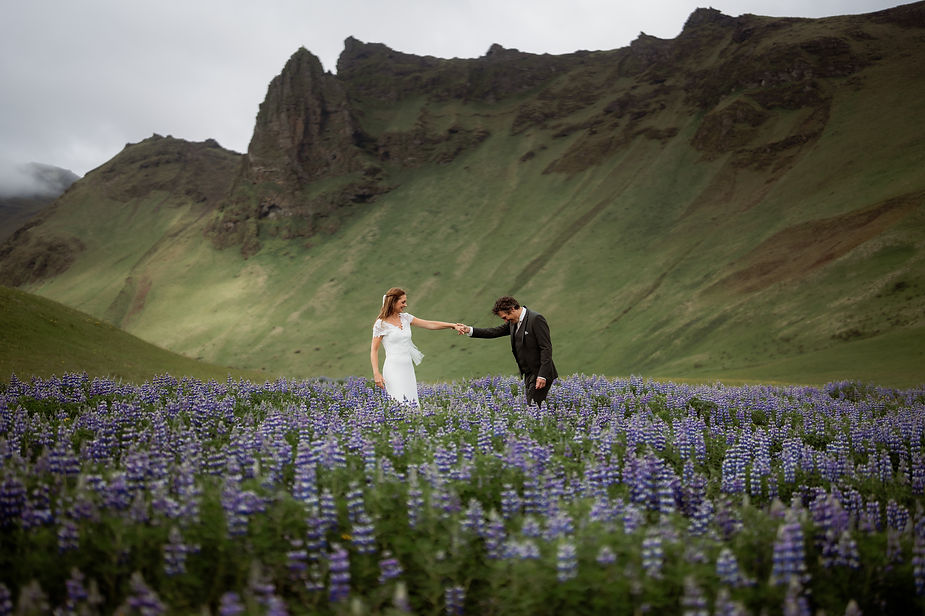 groom holds brides hand and poses for iceland wedding photographer in field of purple flowers.