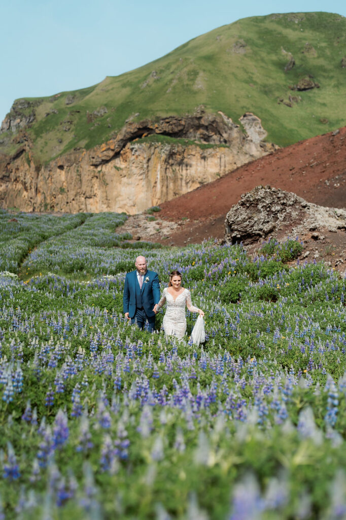 bride and groom walk through lupin flower fields during iceland wedding on the westman islands.