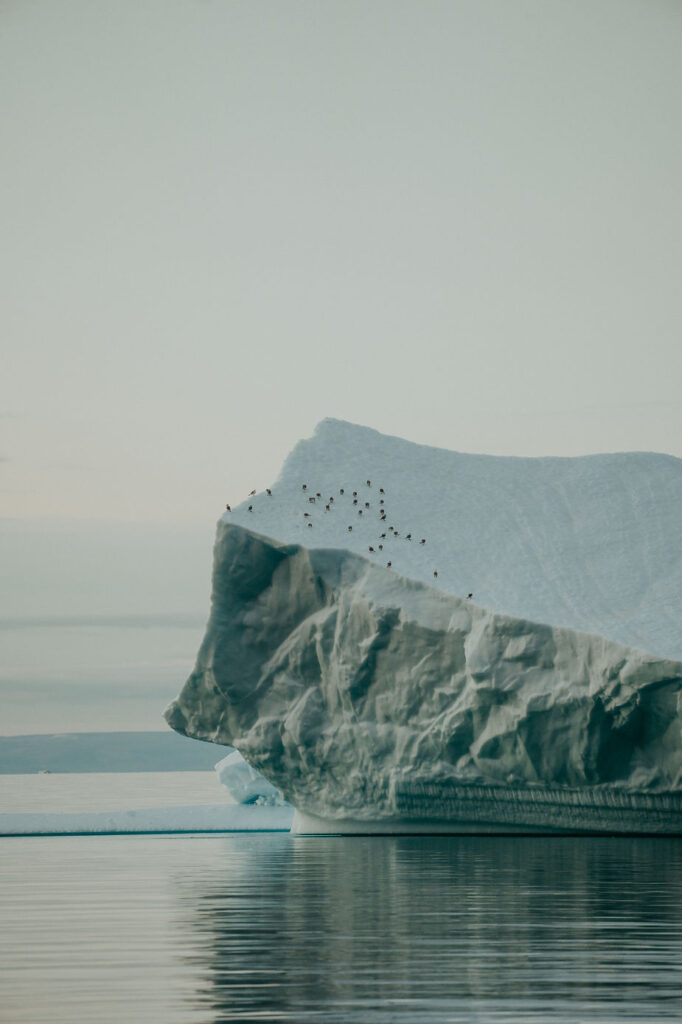 giant glacier during destination wedding in greenland.