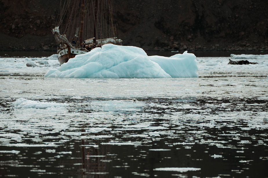 glaciers and mountains during a greenland elopement by sailboat.