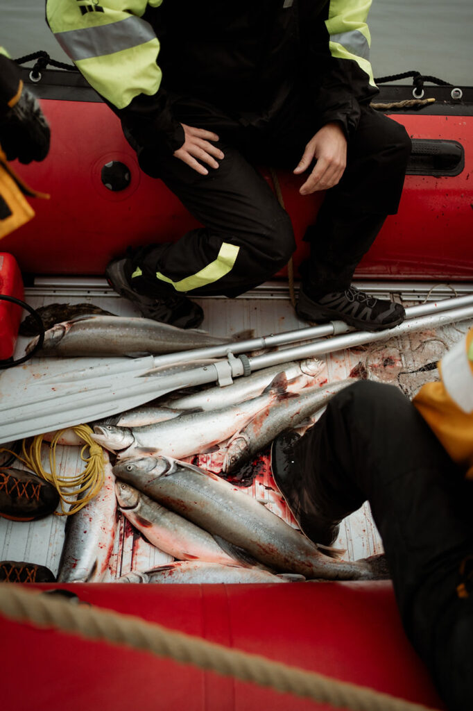 fishermen catch fish during greenland elopement wedding.