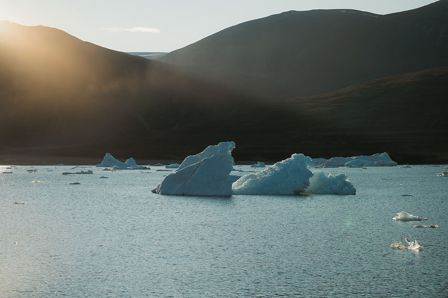 glaciers float on the greenland coast during adventure elopement.