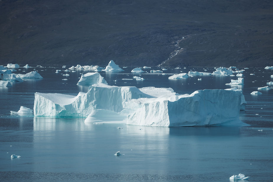 glaciers float on the coast of greenland during adventure wedding.