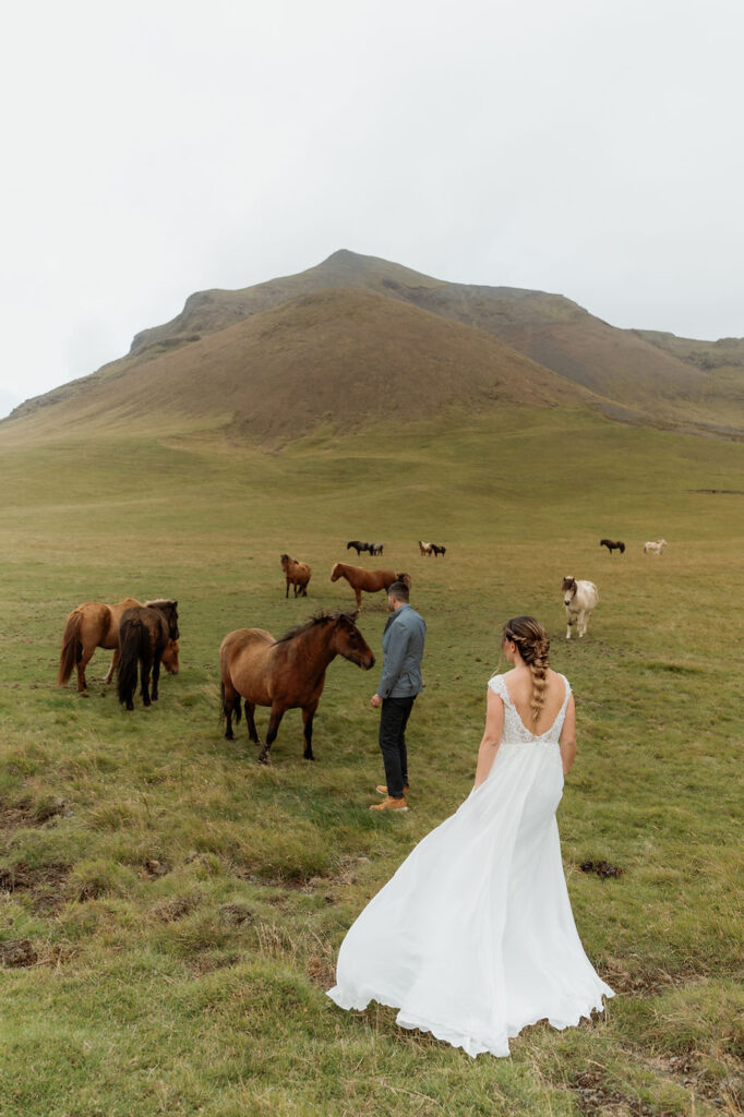 a bride and groom stand with horses in a field in iceland.