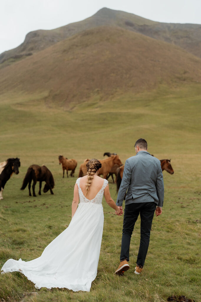 bride and groom stand in field of horses in iceland.